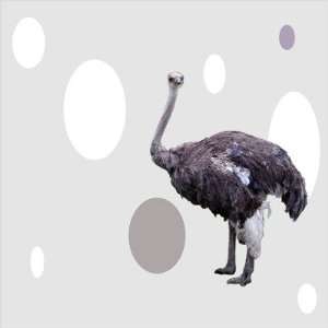   Ostrich Eggs Limited Edition Wall Art Panel in Grey