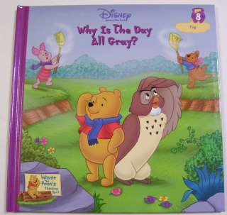 Disney WHY IS THE DAY ALL GRAY Winnie the Pooh Child Book Fog #8 NEW 