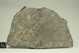 NWA 869 Stein Meteorit Sahara Scheibe 60g 11 x 7 cm  