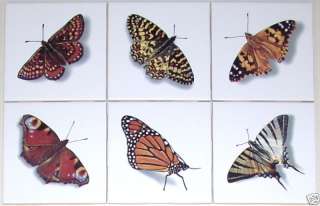 Butterfly Ceramic Tile Mural Accent Butterflies Moth  