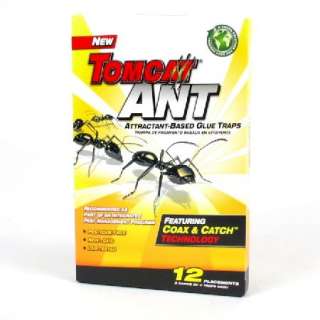 Packs of Tomcat Ant Attractant Based Glue Traps  