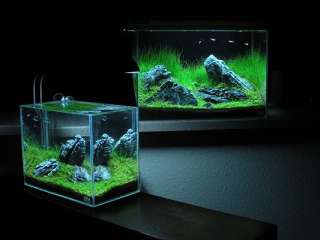 nothing makes an aquarium stand out like the perfect decorations we 