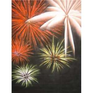   Fire Works Muslin Background Backdrop  to lower 48 states
