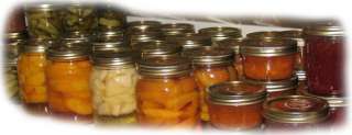 27 Books Home Canning Self Sufficiency Backwoods & DVD  
