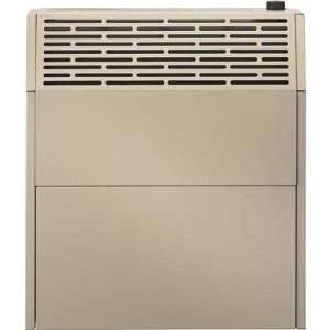 HouseWarmer Slim Profile Direct Vent Wall Heater with Built In Blower 