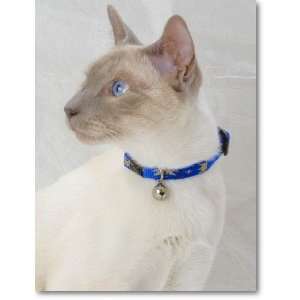   Cat Collars, Leashes and Harnesses Lupine Breakaway Cat Collar
