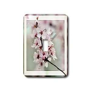 : Patricia Sanders Flowers   Spring in Bloom  Cherry Blossom Flowers 