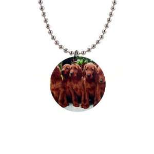    Irish Setter Puppy Dog 2 Button Necklace B0695: Everything Else