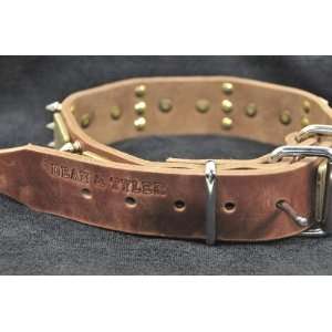 Dean & Tyler Leather Dog Collar Beauty And The Bold   High Quality 