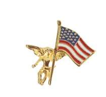   Networks Tea Party Books & More Store   Angel with American Flag Pin