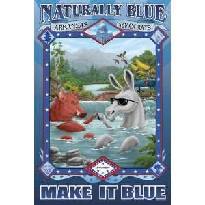  Exclusive By Buyenlarge Naturally Blue Arkansas Democrats 