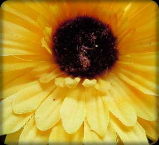 Summer Yellow Royal Gerbera Daisy Flower Pin/Brooch 4  