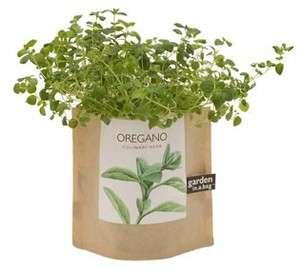   Oregano Herb Plant Organic Seed Growing Garden Bag Gift Set Kit  