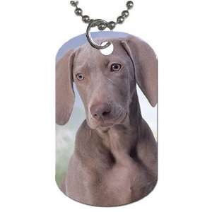  Cute puppie Dog Tag with 30 chain necklace Great Gift 