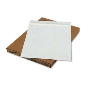  QUAR5101   DuPont Tyvek Jumbo Heavyweight Envelopes 