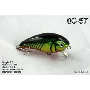   Fat Crankbait Fishing Lure for Bass & Trout