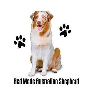  Red Merle Australian Shepherd Shirts