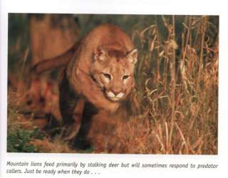Predator Hunting Bill Bynum fox bobcat coyote bears 9781592283880 