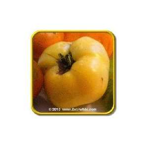  Goldie   Heirloom Tomato Seeds   Jumbo Seed Packet (50 