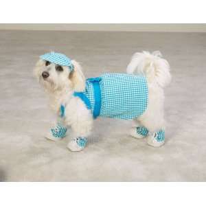 Dog Dress   Blue Gingham Dog Dress w/Matching Dog Hat, Collar & Lead 