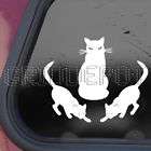 BIG Kitty Cat Decal Car Truck Bumper Window Sticker