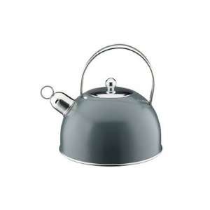  Classic Color Stainless Steel Kettle in Cool Grey Kitchen 