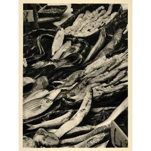  1937 Fish Market Naples Italy Photogravure UNUSUAL 